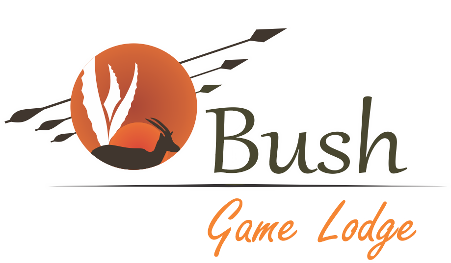 Aloe Bush Game Lodge